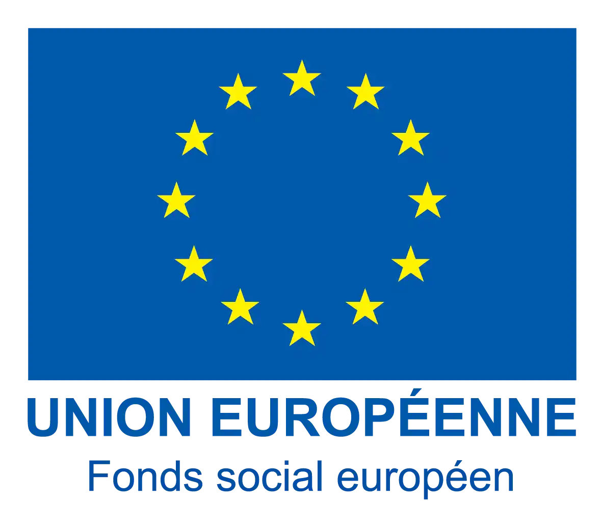 Logo-FSE-couleur